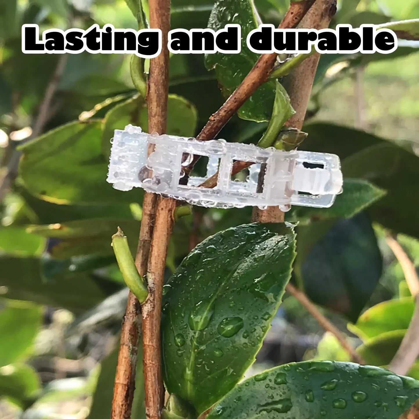 100PCS Plant Support Clips for Tomato & Vine Growth