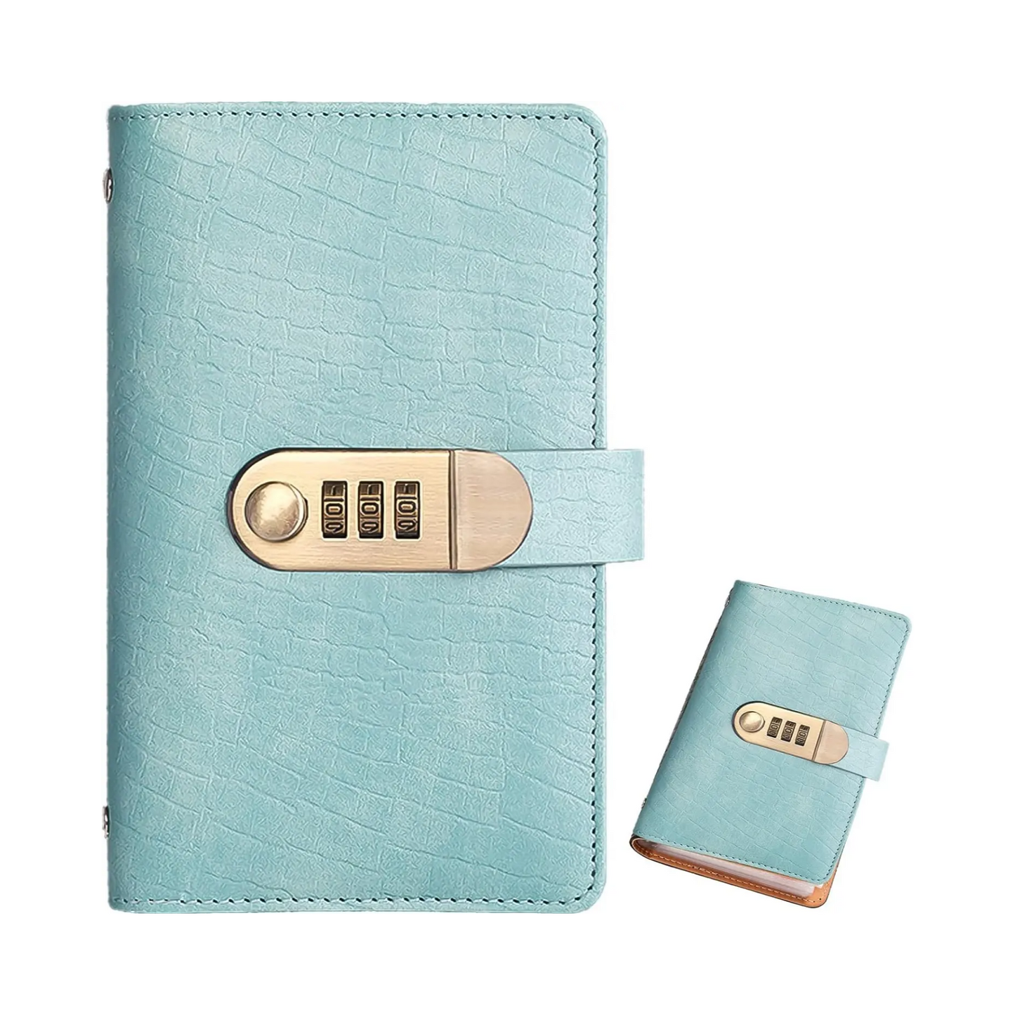100-Pocket PU Leather Currency Album with Password Lock