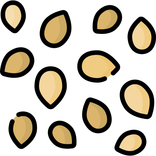 Mango seeds