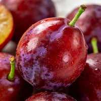 Red Plum