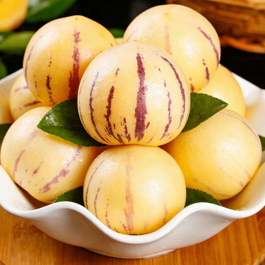 Pepino Melon Growing Kit – Exotic Sweet Fruit Plant
