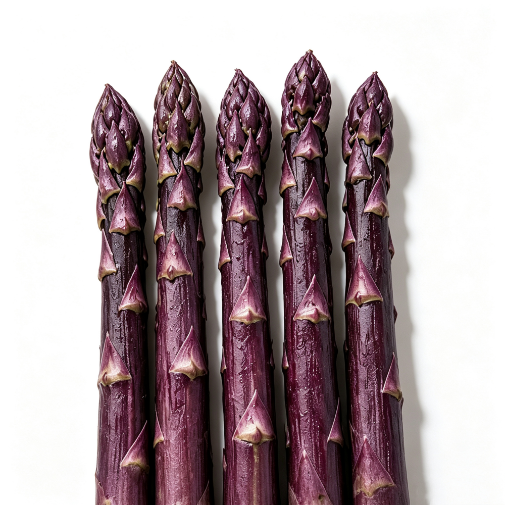 Purple Passion Asparagus Plants – Perennial Garden Favorite, Sweet & Tender Spears