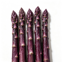 Purple Asparagus
