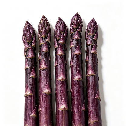Purple Passion Asparagus Plants – Perennial Garden Favorite, Sweet & Tender Spears