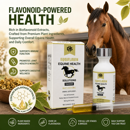 Horse Mobility Supplement – Natural Oral Comfort & Wellness Support