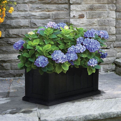 Hydrangea Collection – Endless Summer, Violet Queen, Magic Ruby & Princess Annie