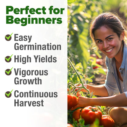 🍅Beefsteak Tomato Grow Pack – 300 Heirloom Tomatoes for Your Garden