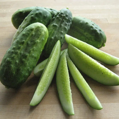 Organic National Pickling Cucumber for Plant