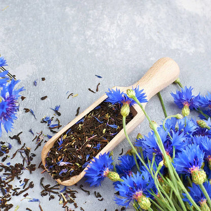 Perennial Mixed Cornflower Seeds