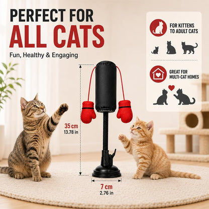 Paw Punch Cat Punching Bag Toy