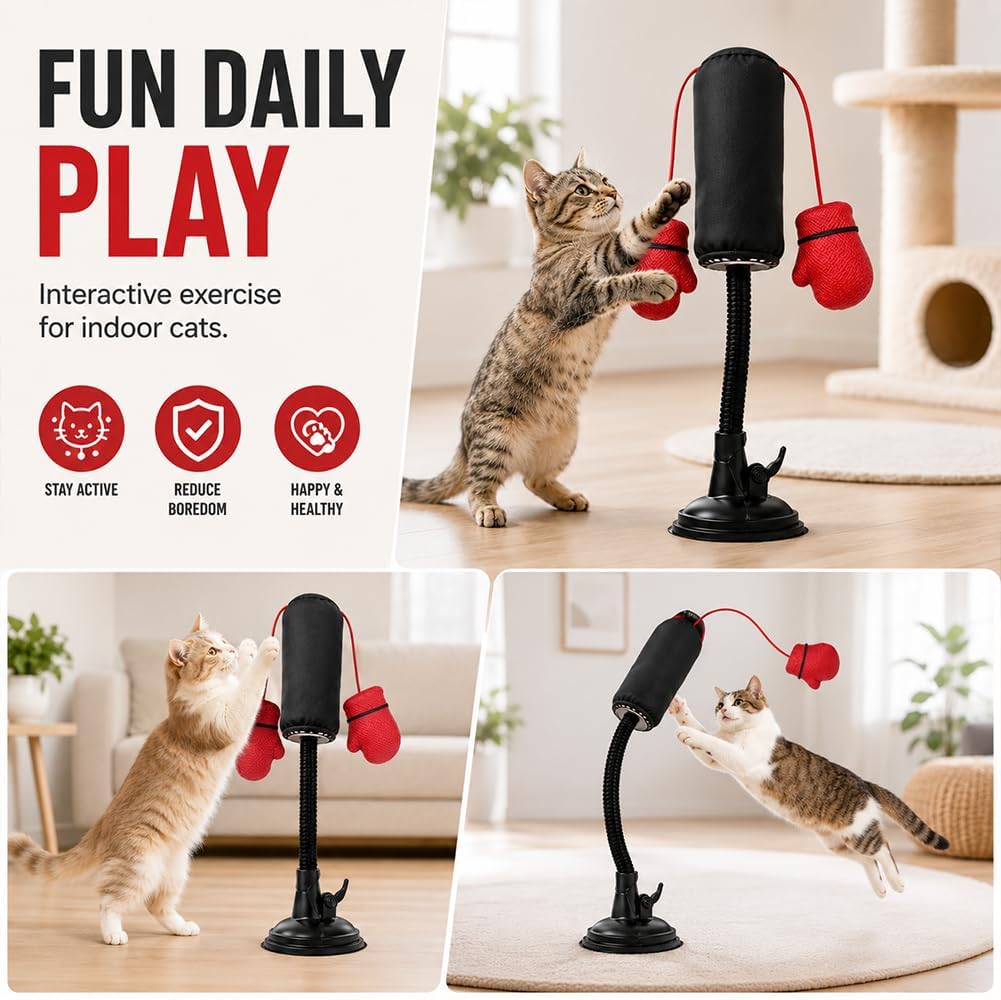 Paw Punch Cat Punching Bag Toy