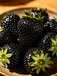 Black Pearl Strawberry