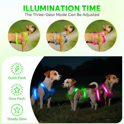 LED Rechargeable Adjustable Dog Vest Harness