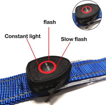 Adjustable LED Horse Breastplate – Rechargeable Night Visibility Harness
