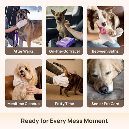Disposable Dog Grooming Wipes (20pcs)