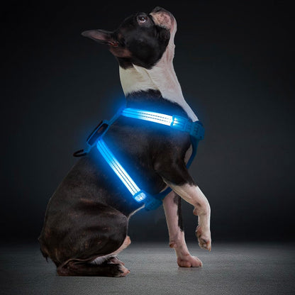 LED Rechargeable Adjustable Dog Vest Harness