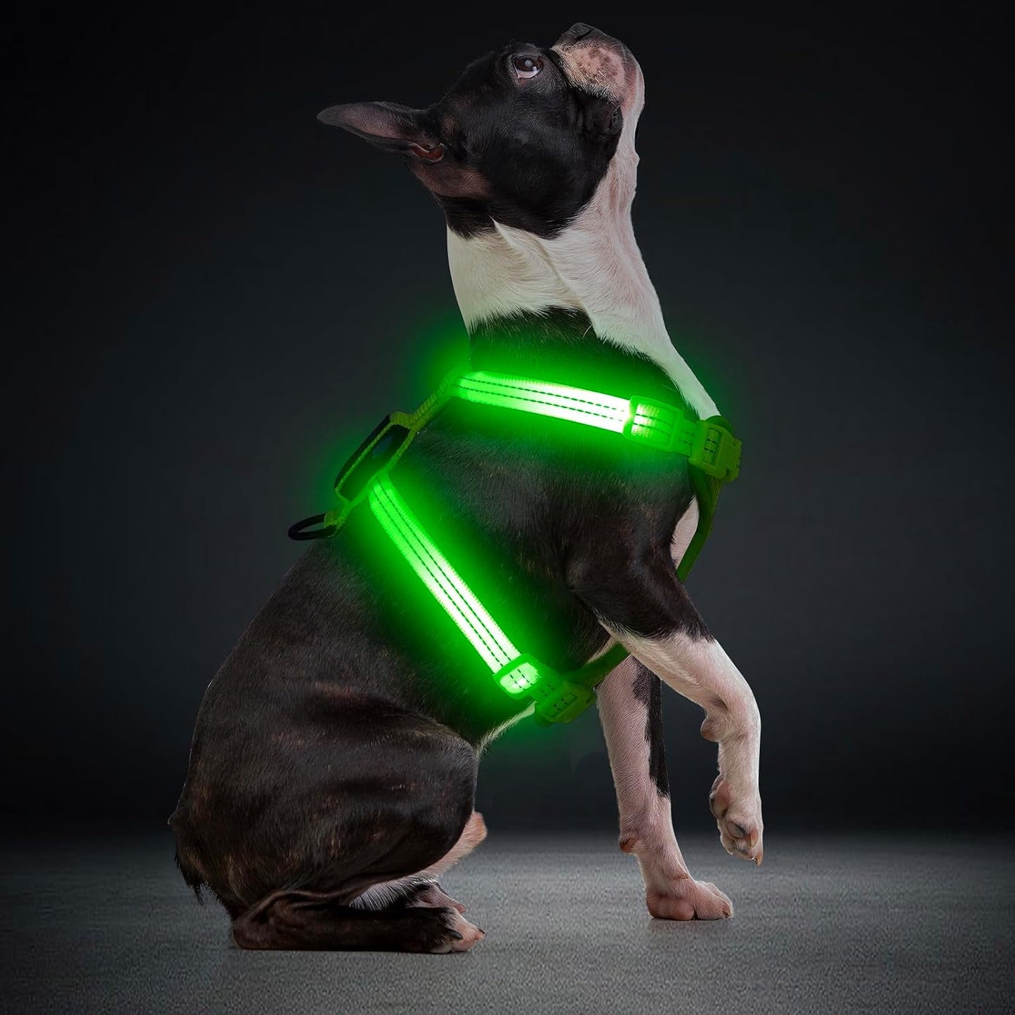 LED Rechargeable Adjustable Dog Vest Harness