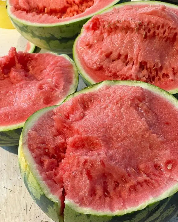 🌱250 Pcs Lazy Seedless Watermelon for Planting