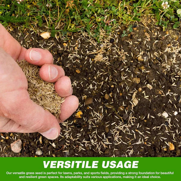 🌱Evergreen Dwarf Grass for All-Season Lawn & Garden Cover