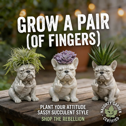 Funny Bulldog Planter Pot – Resin Succulent Holder, 3 Attitudes