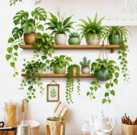 Green Plants