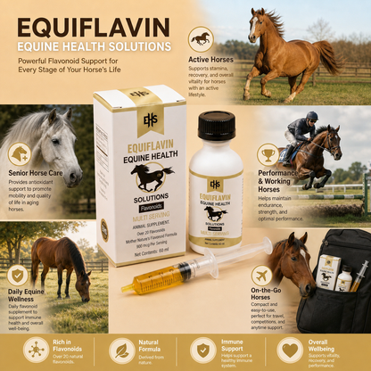 Horse Mobility Supplement – Natural Oral Comfort & Wellness Support