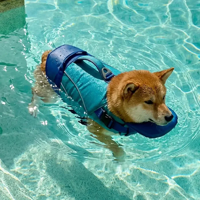 Dog Life Jacket with Detachable Chin Support