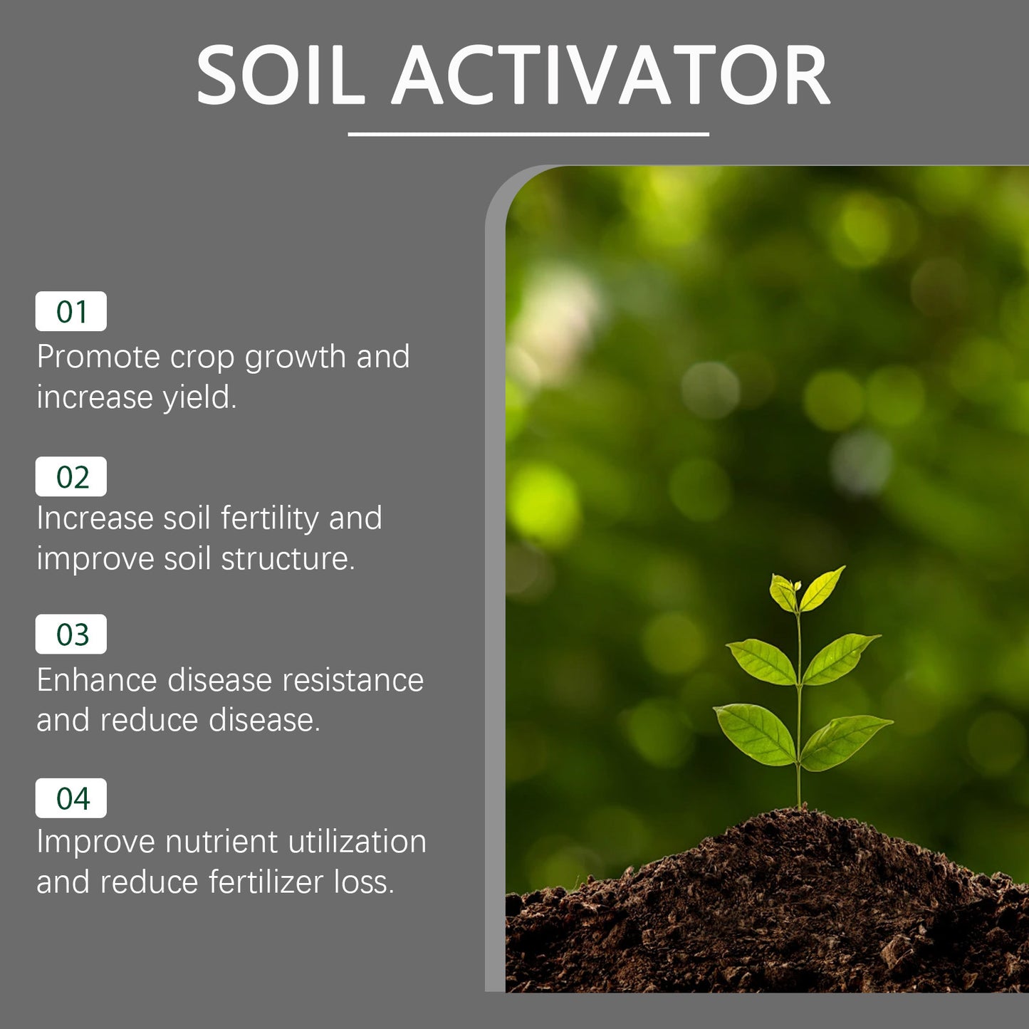 Soil Pro Activator – Organic Bone Meal Fertilizer for Plants