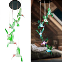 Green Hummingbird