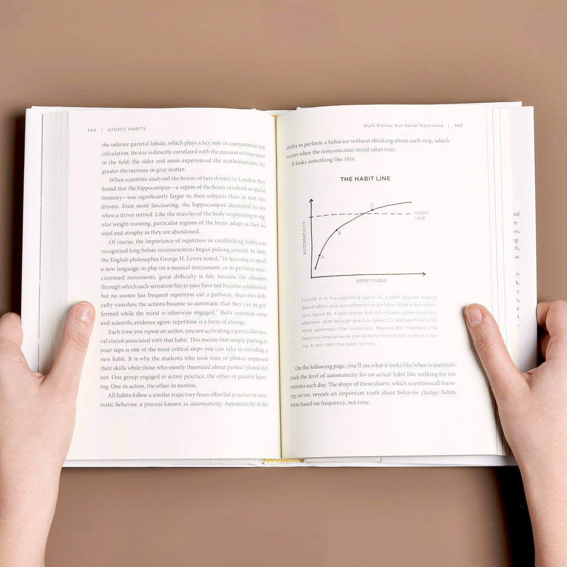 Discover the Power of Small Habits