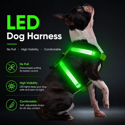 LED Rechargeable Adjustable Dog Vest Harness