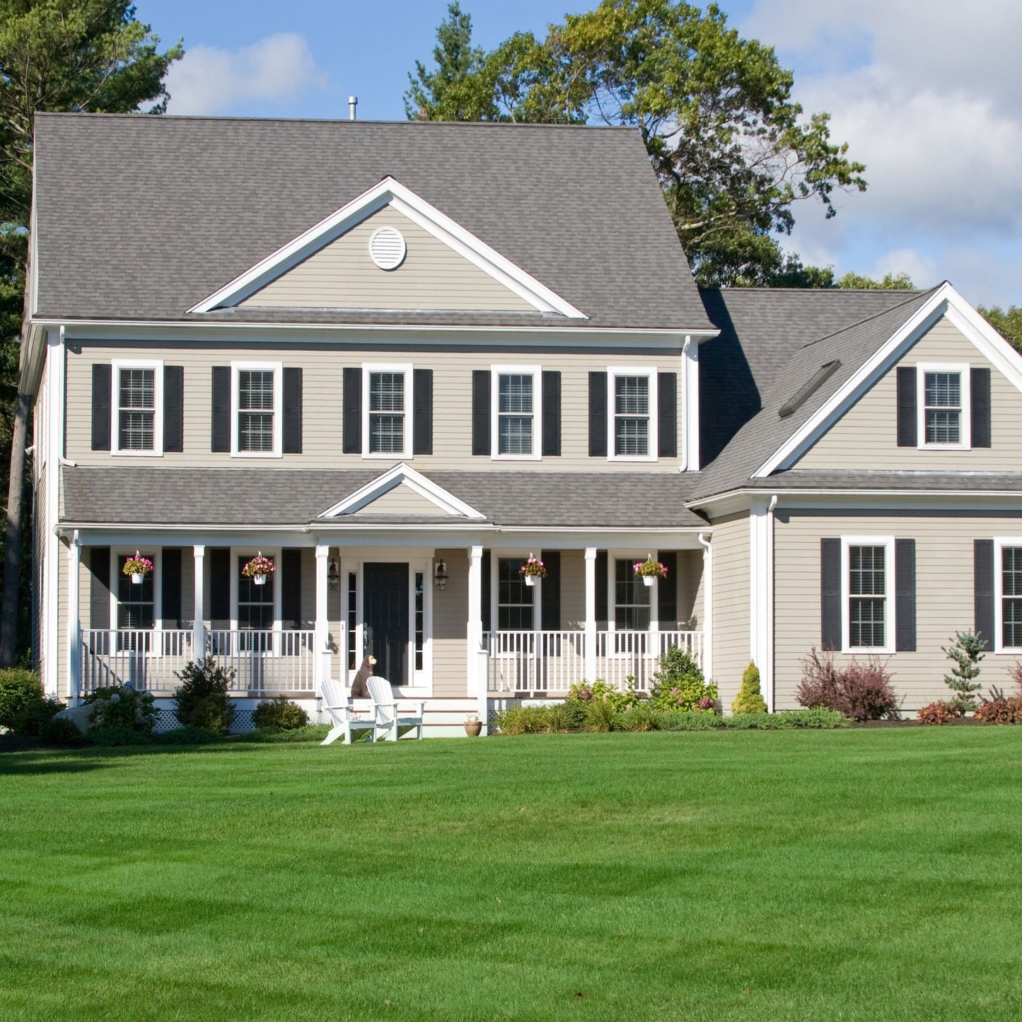 🌱Evergreen Dwarf Grass for All-Season Lawn & Garden Cover