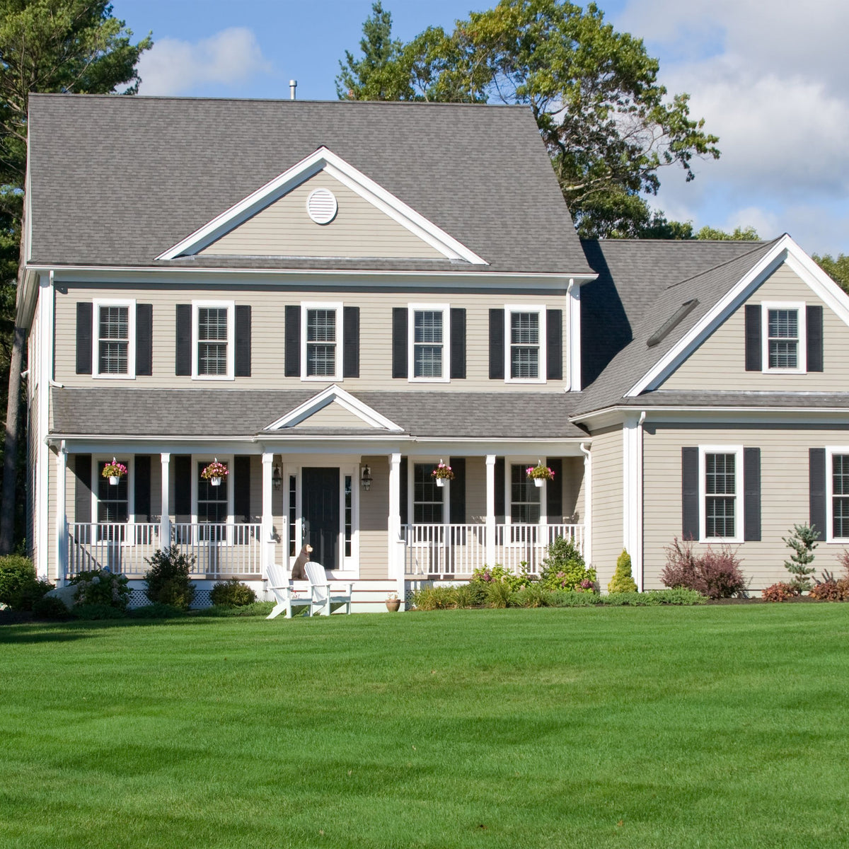 🌱Evergreen Dwarf Grass for All-Season Lawn & Garden Cover