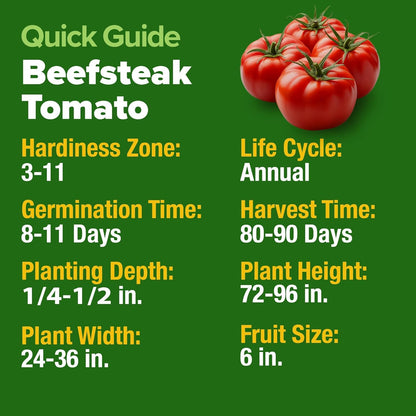 🍅Beefsteak Tomato Grow Pack – 300 Heirloom Tomatoes for Your Garden