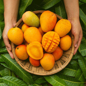 Basket filled with ripe mangoes