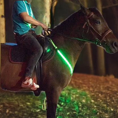 Adjustable LED Horse Breastplate – Rechargeable Night Visibility Harness