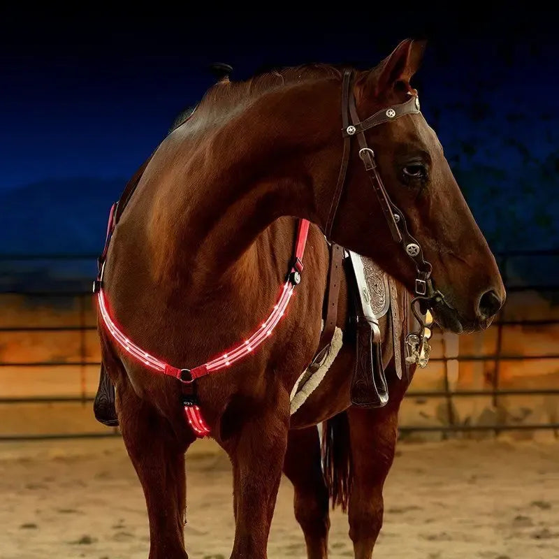 Adjustable LED Horse Breastplate – Rechargeable Night Visibility Harness