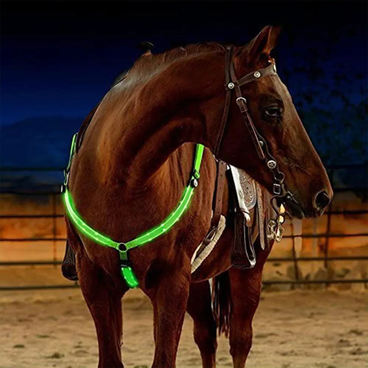 Adjustable LED Horse Breastplate – Rechargeable Night Visibility Harness