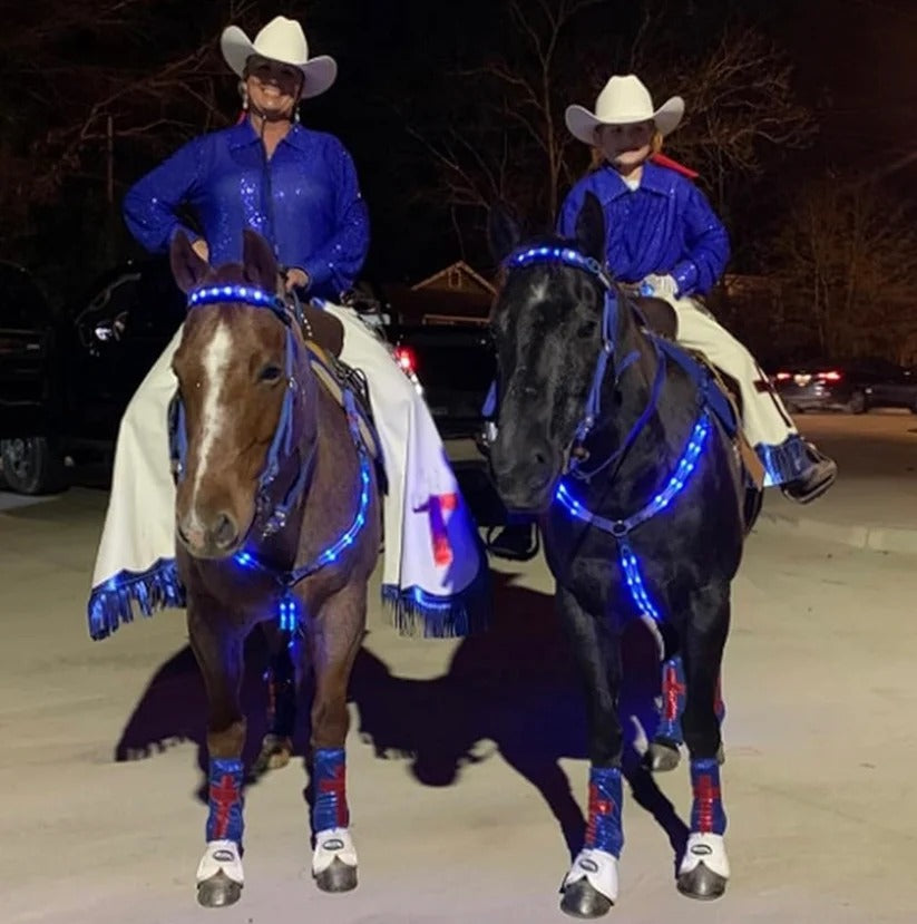 Adjustable LED Horse Breastplate – Rechargeable Night Visibility Harness