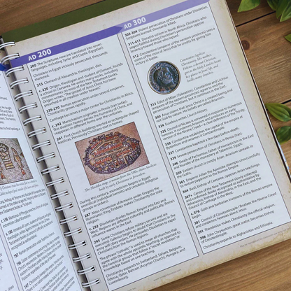 Rose Book of Bible Charts, Maps and Time Lines: All-in-One Visual Resource