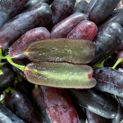 Sapphire Grapes Growing Kit – Grow Rare Finger Grapes at Home