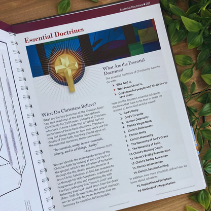 Rose Book of Bible Charts, Maps and Time Lines: All-in-One Visual Resource