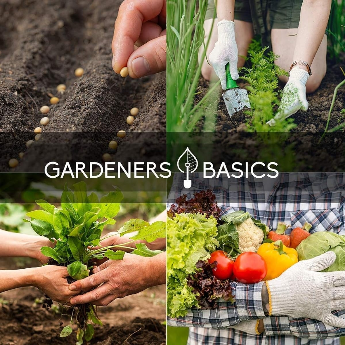 🌱Survival Vegetable Garden Kit – 35 Essential Varieties (16,000+ Pieces)