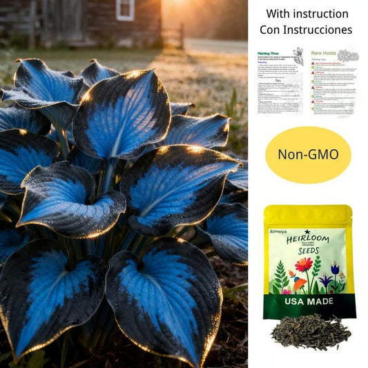 🌱Hosta Perennial Shade Plant for Garden & Landscape Decor