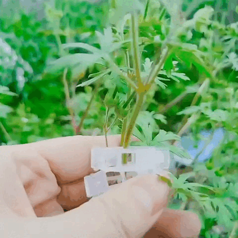 Stronger Plants. Better Growth. Bigger Harvests. 🌱