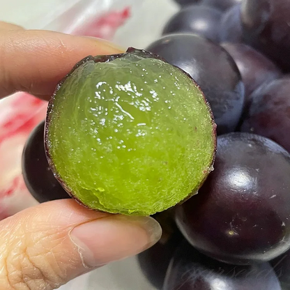 Sapphire Grapes Growing Kit – Grow Rare Finger Grapes at Home