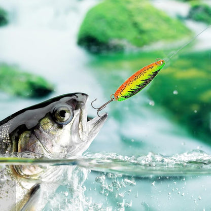 Fishing Advent Calendar 24-Day Christmas Countdown – Lure Set Gift for Anglers