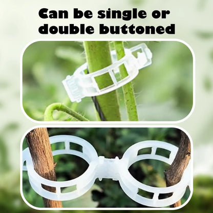 100PCS Plant Support Clips for Tomato & Vine Growth