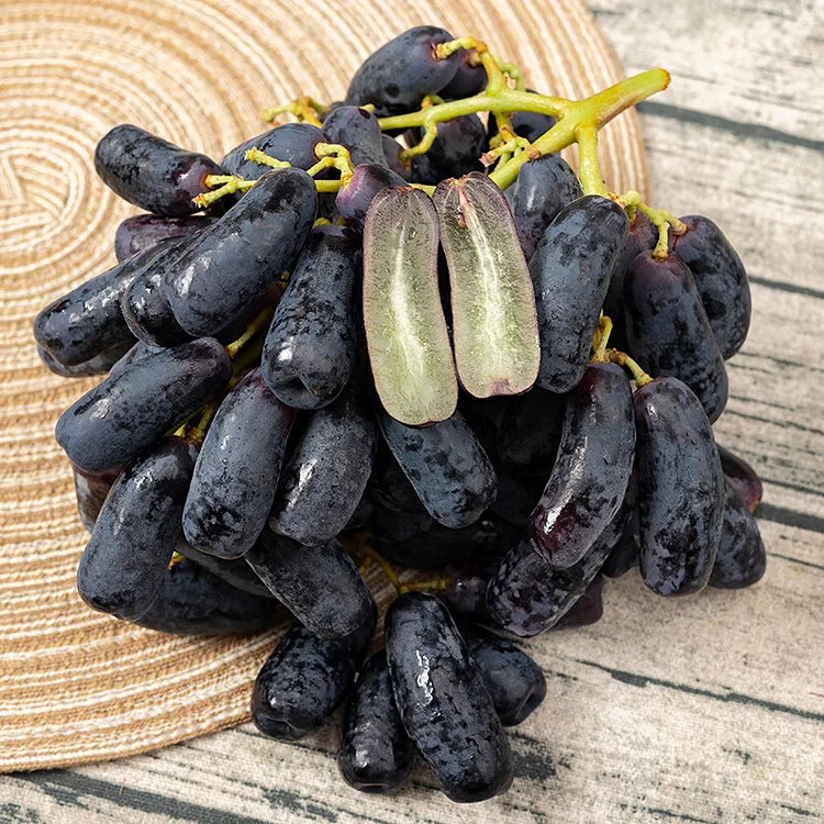 Sapphire Grapes Growing Kit – Grow Rare Finger Grapes at Home