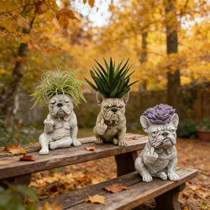 Funny Bulldog Planter Pot – Resin Succulent Holder, 3 Attitudes
